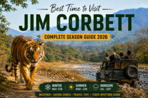 Best Time to Visit Jim Corbett